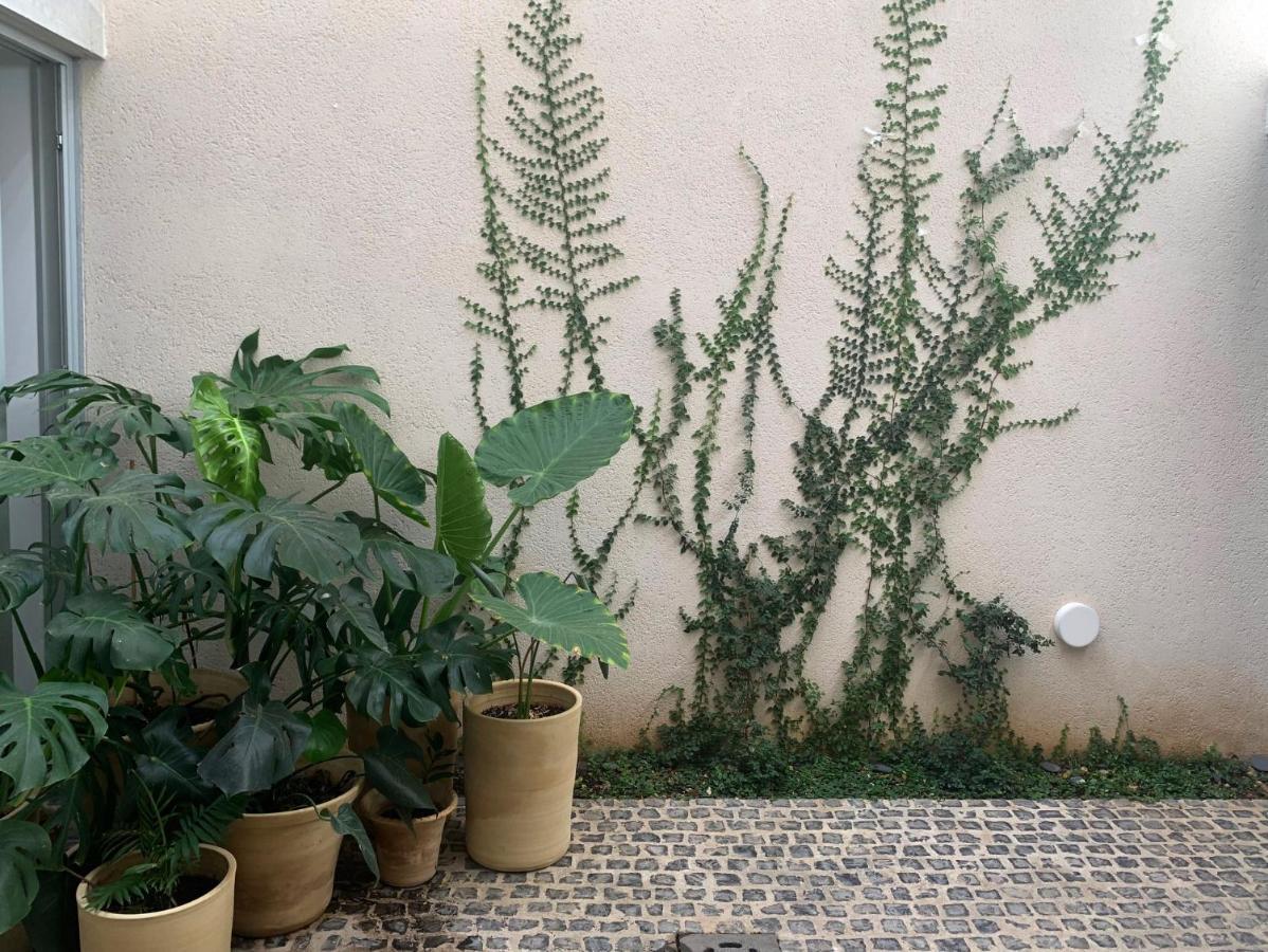 Design Near Center, Cool Popular Neighborhood Seville